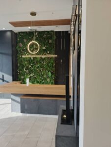 zielona ściana w salonie