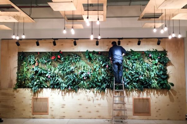 Jak czyścić i pielęgnować zielone ściany, by wyglądały jak nowe?